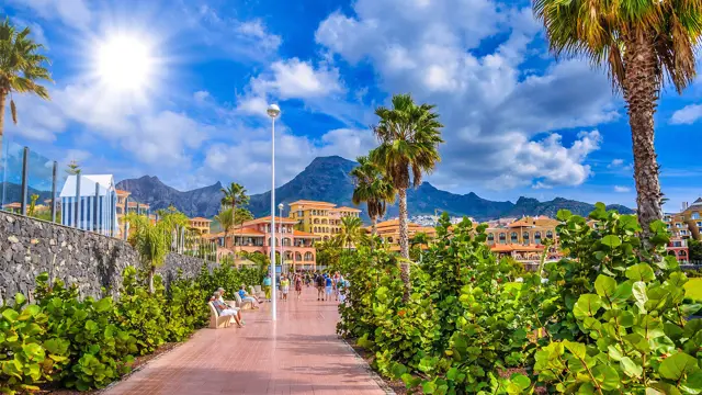 Playa de las Américas – til tín, sum vil hava meira lív
