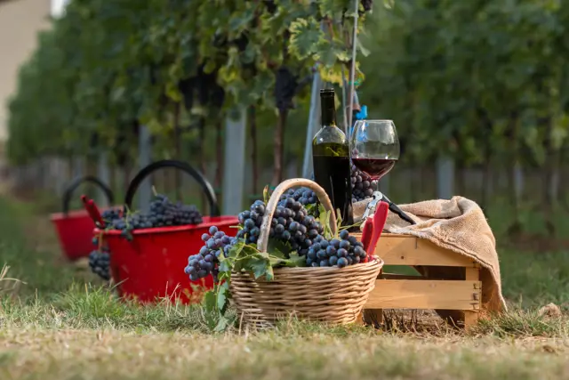 Amarone og Ripasso í Valpolicella