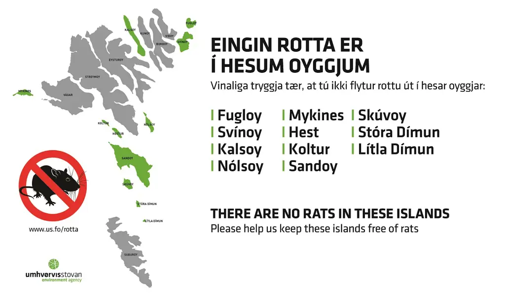 Kunning um rottur